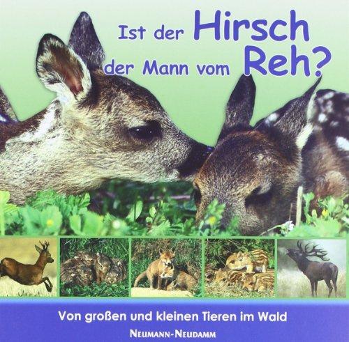 Ist der Hirsch der Mann vom Reh?: Von großen und kleinen Tieren im Wald