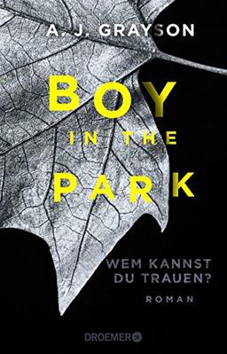 Boy in the Park - Wem kannst du trauen?: Roman