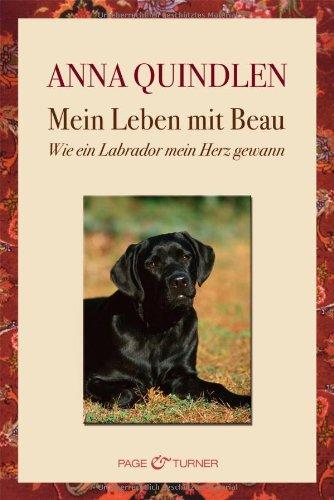 Mein Leben mit Beau: Wie ein Labrador mein Herz gewann