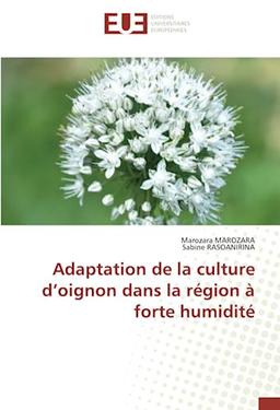 Adaptation de la culture d’oignon dans la région à forte humidité