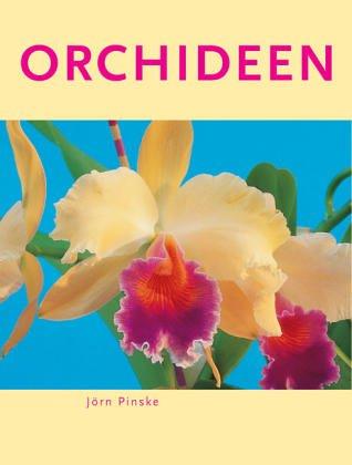 Orchideen