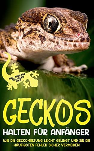 Geckos halten für Anfänger: Wie die Geckohaltung leicht gelingt und Sie die häufigsten Fehler sicher vermeiden - inkl. Tipps für den Gecko Kauf