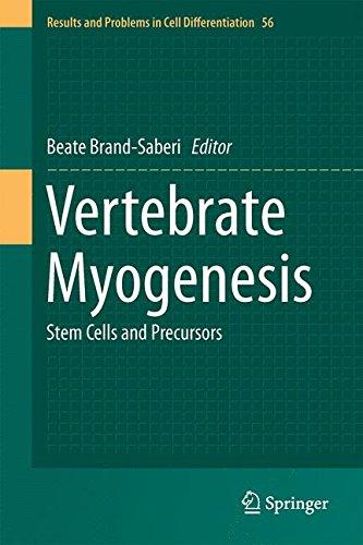 Vertebrate Myogenesis: Stem Cells and Precursors (Results and Problems in Cell Differentiation)