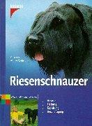 Riesenschnauzer: Auswahl. Haltung. Erziehung. Beschäftigung