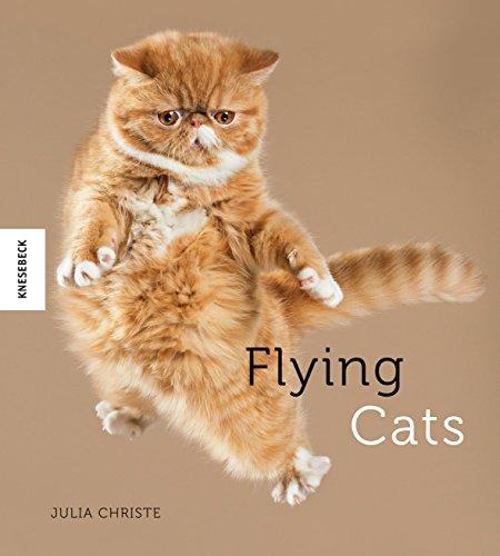 Flying Cats: Katzen in der Luft – originelle Fotos grandioser Katzen-Sprünge