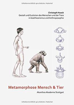 Metamorphose Mensch und Tier: Gestalt und Evolution des Menschen und der Tiere in Goetheanismus und Anthroposophie