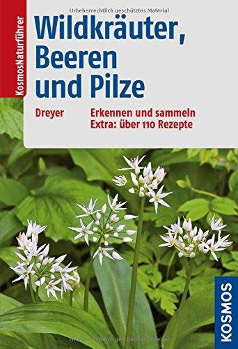 Wildkräuter, Beeren und Pilze: Erkennen und sammeln Extra: über 100 Rezepte