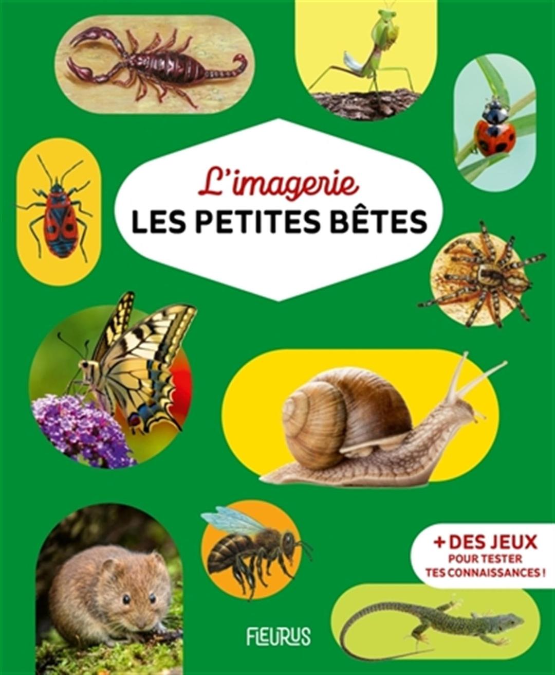 Les petites bêtes