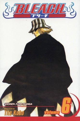 Bleach, Vol. 6: The Death Trilogy Overture: v. 6