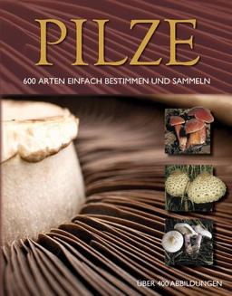 Pilze: 600 Arten einfach bestimmen und sammeln - Über 400 Abbildungen