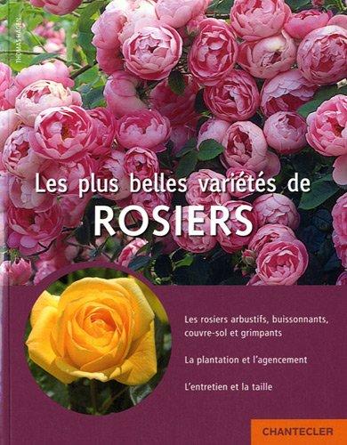 Les plus belles variétés de rosiers