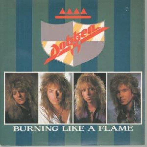 Burning Like A Flame / Lost Behind The Wall (+ Label Info) [Vinyl Single]