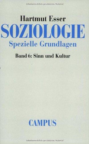 Soziologie. Spezielle Grundlagen, Band 6: Sinn und Kultur