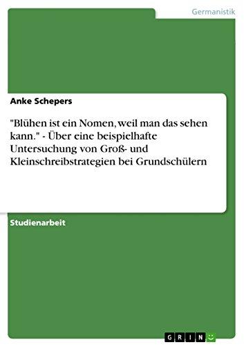 "Blühen ist ein Nomen, weil man das sehen kann." - Über eine beispielhafte Untersuchung von Groß- und Kleinschreibstrategien bei Grundschülern