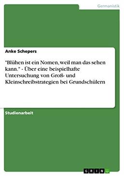 "Blühen ist ein Nomen, weil man das sehen kann." - Über eine beispielhafte Untersuchung von Groß- und Kleinschreibstrategien bei Grundschülern