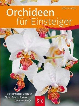 Orchideen für Einsteiger: Die wichtigsten Gruppen - Die schönsten Sorten - Die beste Pflege