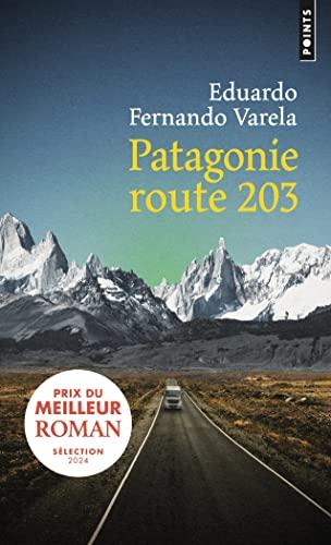 Patagonie route 203