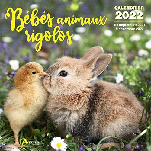 Bébés animaux rigolos : calendrier 2022 : de septembre 2021 à décembre 2022