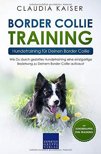 Border Collie Training – Hundetraining für Deinen Border Collie: Wie Du durch gezieltes Hundetraining eine einzigartige Beziehung zu Deinem Border Collie aufbaust (Border Collie Band, Band 2)