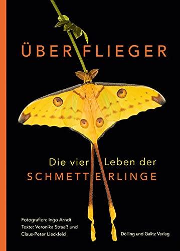 Überflieger. Die vier Leben der Schmetterlinge