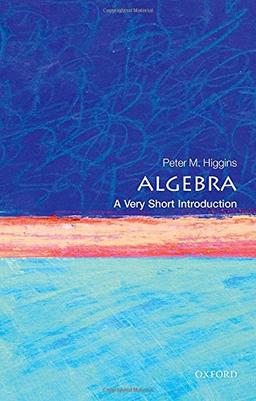 Algebra: A Very Short Introduction (Very Short Introductions)