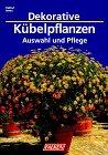 Dekorative Kübelpflanzen. Auswahl und Pflege.