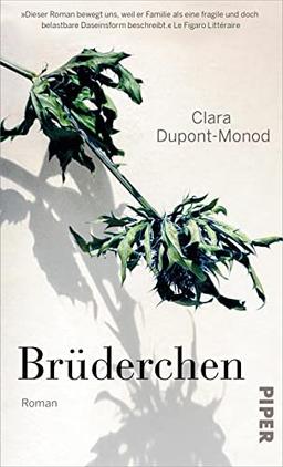 Brüderchen: Roman | Prix Goncourt des Lycéens und Prix Femina