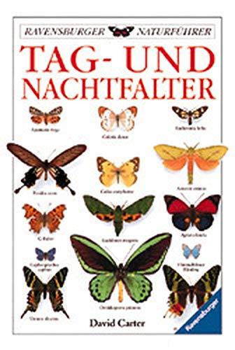 Tag- und Nachtfalter