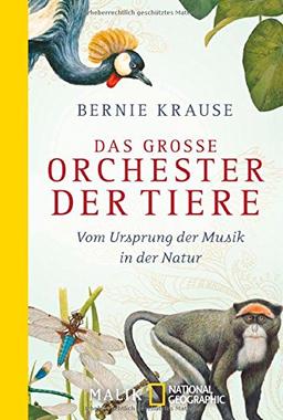 Das große Orchester der Tiere: Vom Ursprung der Musik in der Natur