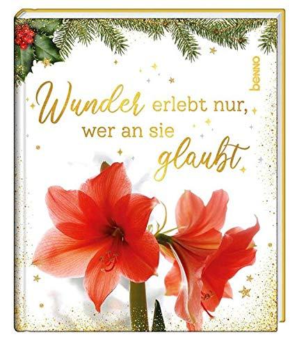 Wunder erlebt nur, wer an sie glaubt: Geschichten und Gedanken für die Weihnachtszeit