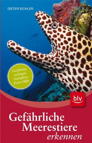 Gefährliche Meerestiere erkennen: Gefahren, richtiges Verhalten, Erste Hilfe