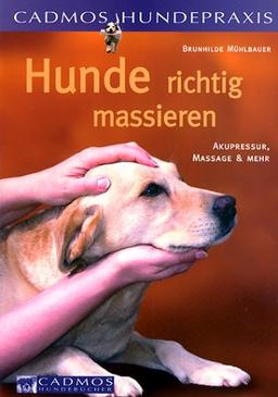 Hunde richtig massieren