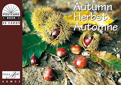 Herbst /Autumn /Autumne: Postkartenbuch