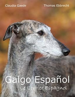 Galgo Español: Le Lévrier Espagnol