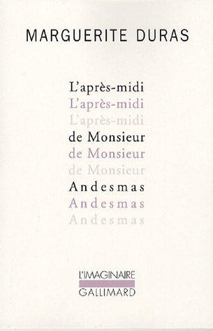 L'après-midi de monsieur Andesmas