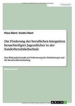 Die Förderung der beruflichen Integration benachteiligter Jugendlicher in der Sonderberufsfachschule: Eine Wirksamkeitsstudie zur Verbesserung des Selbstkonzepts und der Berufswahlentscheidung