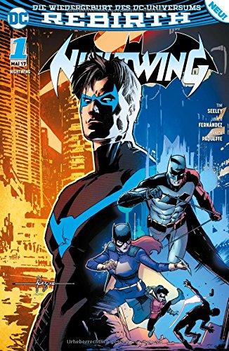 Nightwing: Bd. 1 (2. Serie)