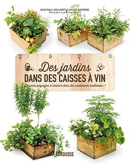 Des jardins dans des caisses à vin