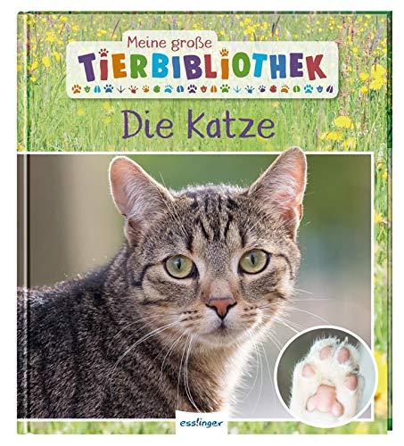 Die Katze (Meine große Tierbibliothek)