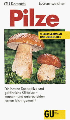 Pilze, Die besten Speisepilze und gefährliche Giftpilze