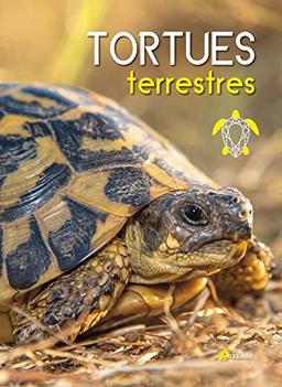 Tortues terrestres