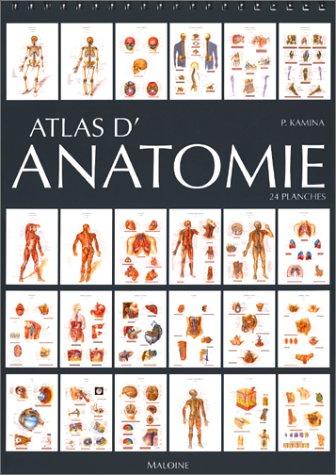 Atlas d'anatomie : 24 planches