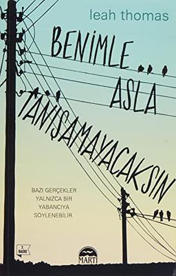 Benimle Asla Tanisamayacaksin: Bazi Gercekler Yalnizca Bir Yabanciya Söylene