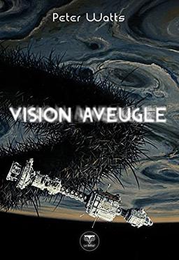 Vision aveugle