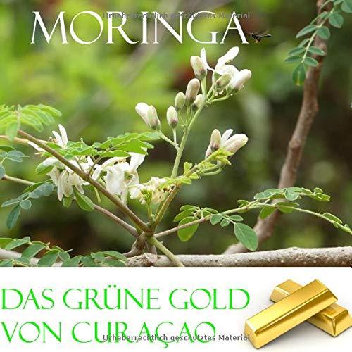 Das grüne Gold von Curacao: Moringa