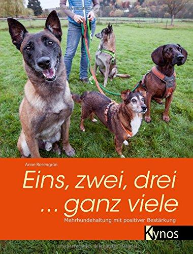 Eins, zwei, drei ... ganz viele: Mehrhundehaltung mit positiver Bestärkung