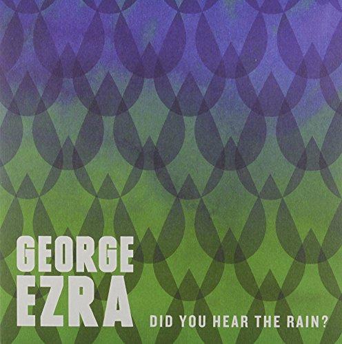 Did You Hear the Rain? [Vinyl Maxi-Single]