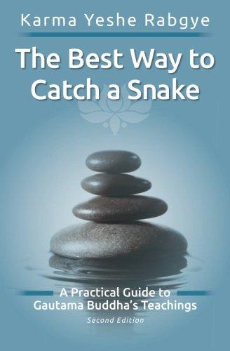 The Best Way to Catch a Snake: A Practical Guide To Gautama Buddha's Teachings