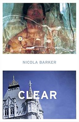 Clear: A Transparent Novel