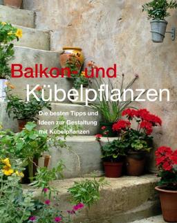 Balkon- und Kübelpflanzen. Die besten Tipps und Ideen zur Gestaltung mit Kübelpflanzen